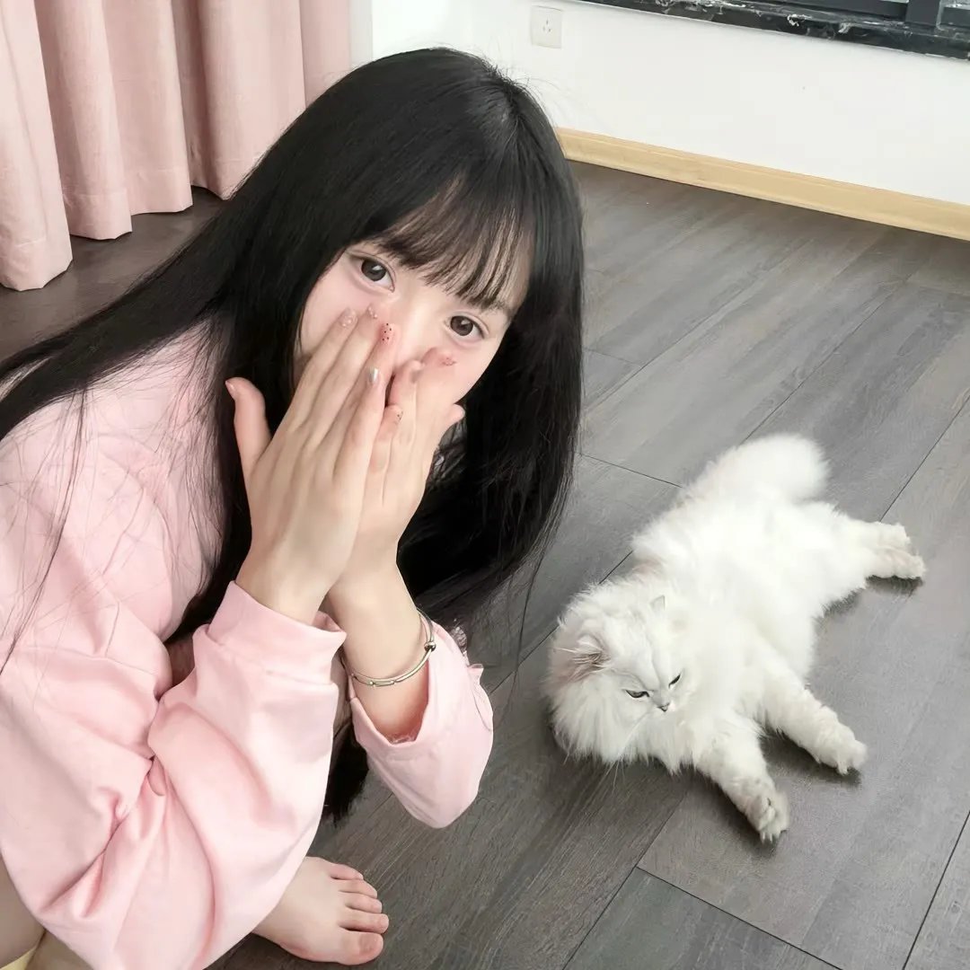 猫王巡回演唱会